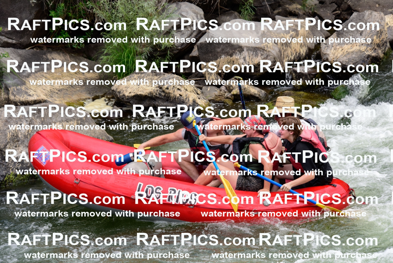 007714_July-31_Los-Rios-_RAFTPICS_Racecourse-AM_LANATHAN_-1-1