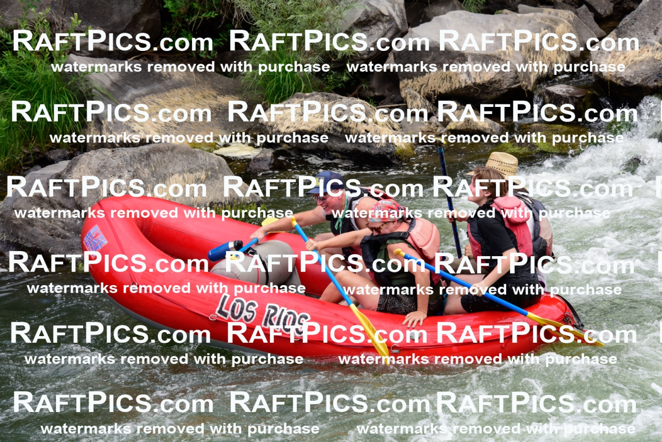 007715_July-31_Los-Rios-_RAFTPICS_Racecourse-AM_LANATHAN_-1-1