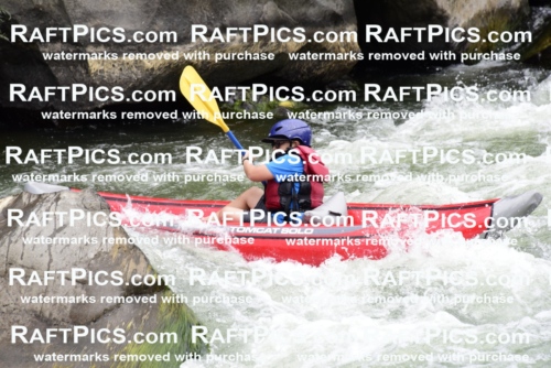 007734_July-31_Los-Rios-_RAFTPICS_Racecourse-AM_LA_-Zack_Funyaks1