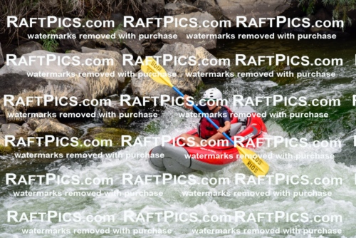 007846_July-31_Los-Rios-_RAFTPICS_Racecourse-AM_LA_-Zack_Funyaks2