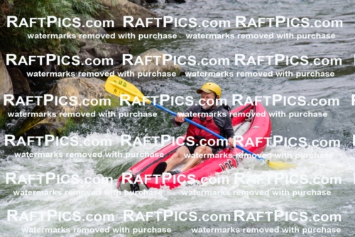 007802_July-31_Los-Rios-_RAFTPICS_Racecourse-AM_LA_-Zack_Funyaks4