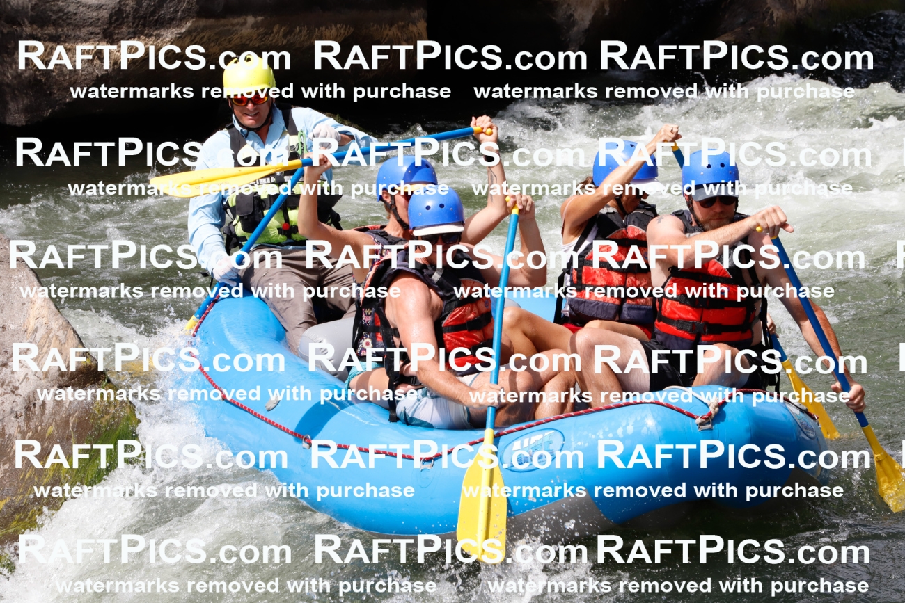 022571_RaftPics_July_31_NewWave_Racecourse_PM_Joey_TC_