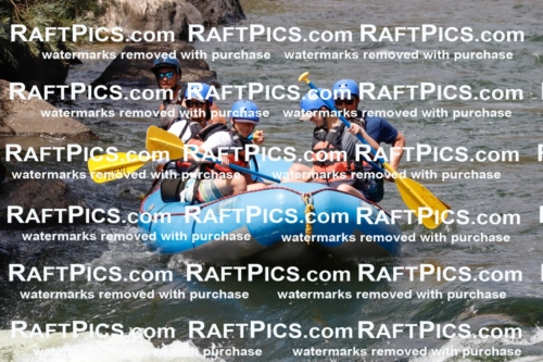 022641_RaftPics_July_31_NewWave_Racecourse_PM_Rui_TC_