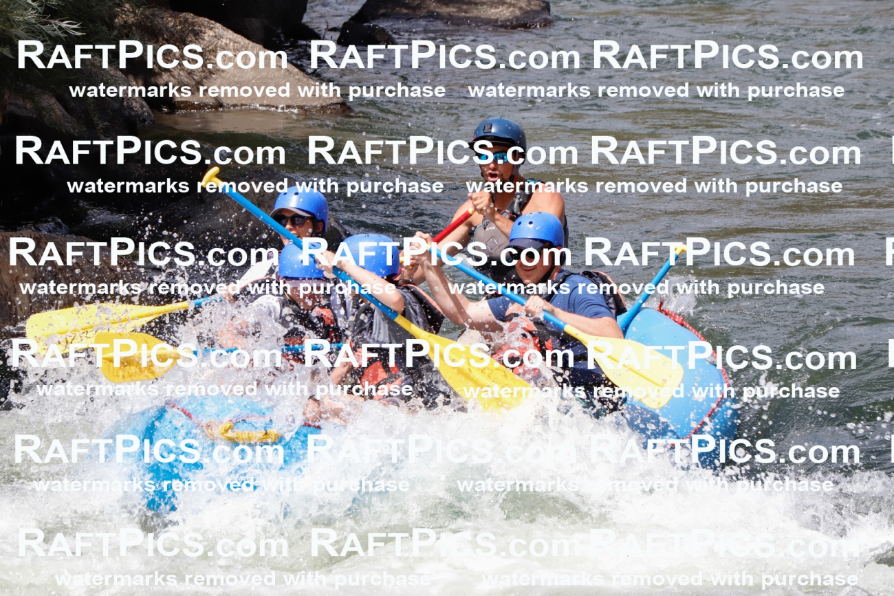 022644_RaftPics_July_31_NewWave_Racecourse_PM_Rui_TC_