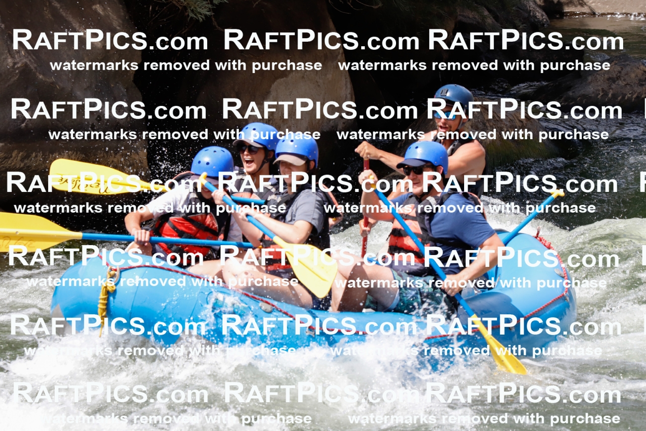 022653_RaftPics_July_31_NewWave_Racecourse_PM_Rui_TC_