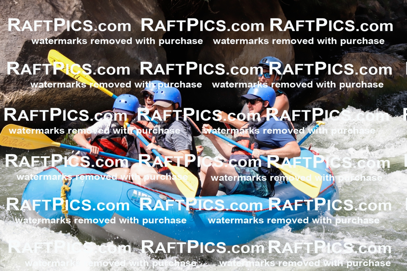 022656_RaftPics_July_31_NewWave_Racecourse_PM_Rui_TC_