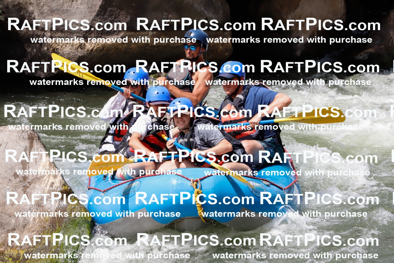 022662_RaftPics_July_31_NewWave_Racecourse_PM_Rui_TC_