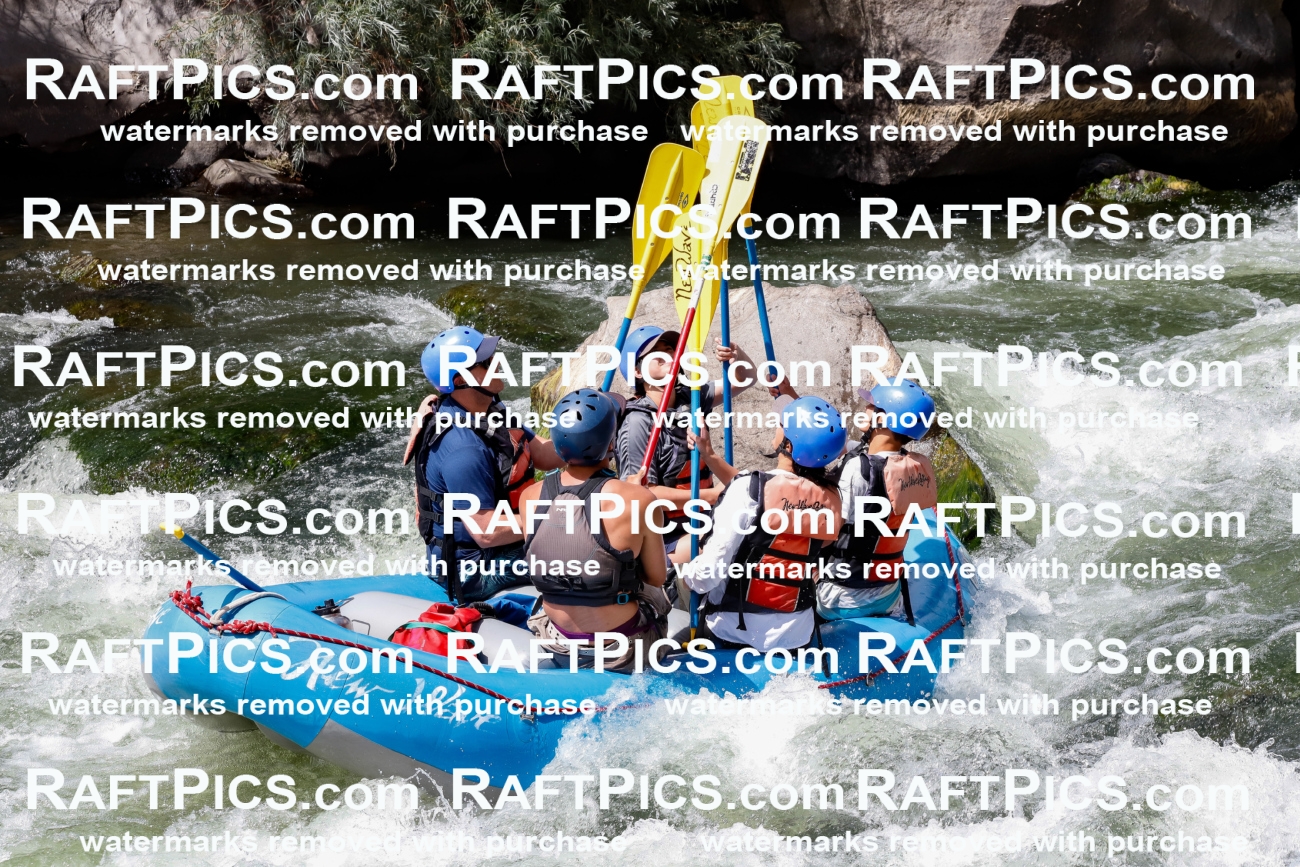 022689_RaftPics_July_31_NewWave_Racecourse_PM_Rui_TC_