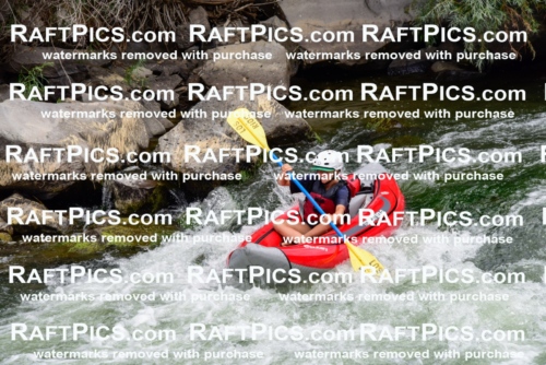 007845_July-31_Los-Rios-_RAFTPICS_Racecourse-AM_LA_-Zack_Funyaks2