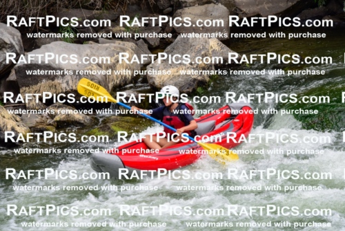 007848_July-31_Los-Rios-_RAFTPICS_Racecourse-AM_LA_-Zack_Funyaks2