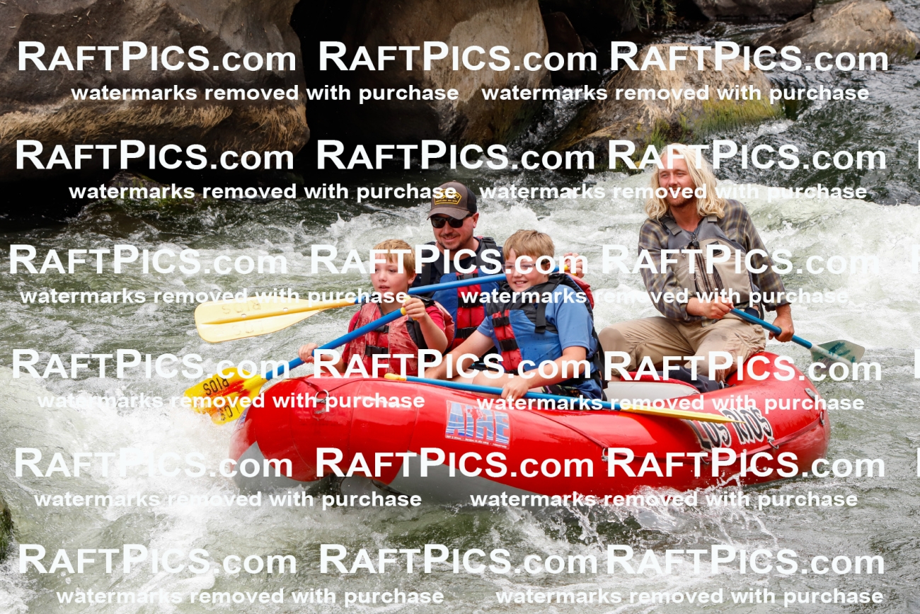 022945_RaftPics_August_01_LosRios_Fullday_PM_Zach_TC_