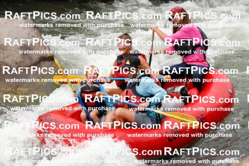 023132_RaftPics_August_01_LosRios_Racecourse_PM_Brodie_TC_