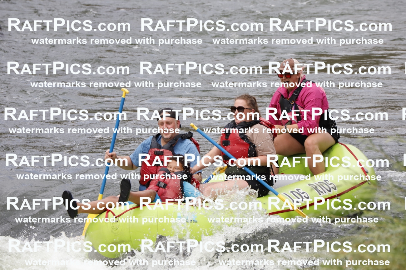 023261_RaftPics_August_01_LosRios_Racecourse_PM_Rachel_TC_