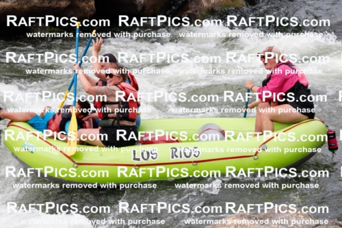 023268_RaftPics_August_01_LosRios_Racecourse_PM_Rachel_TC_