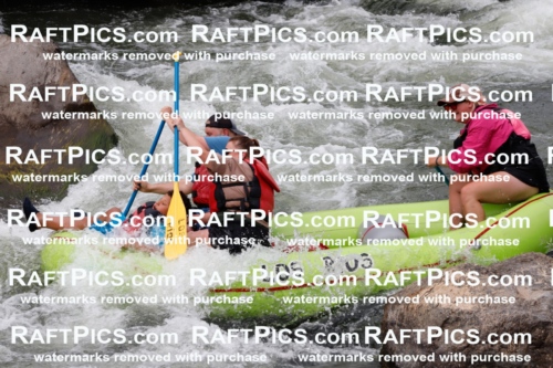 023269_RaftPics_August_01_LosRios_Racecourse_PM_Rachel_TC_