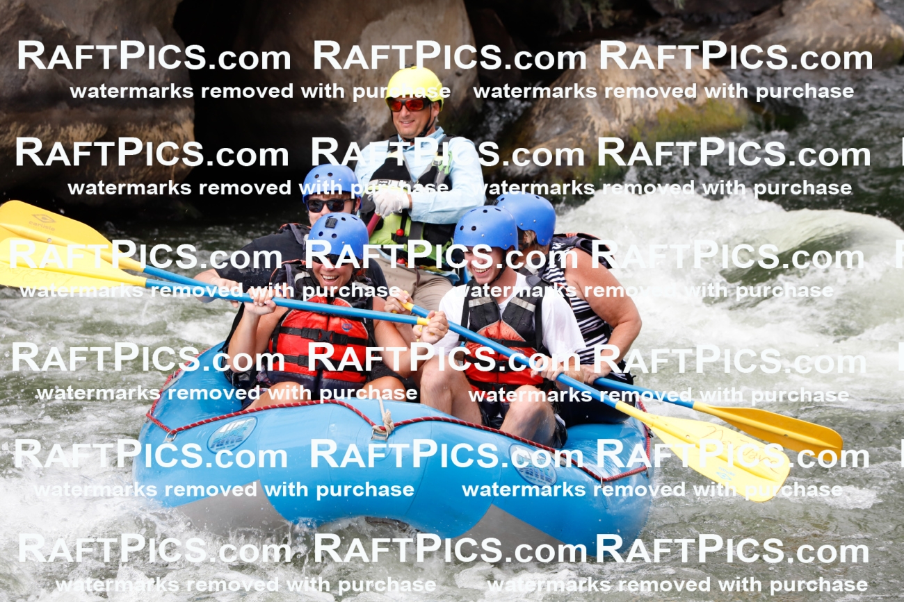 023448_RaftPics_August_02_NewWave_Racecourse_PM_Joey_TC_