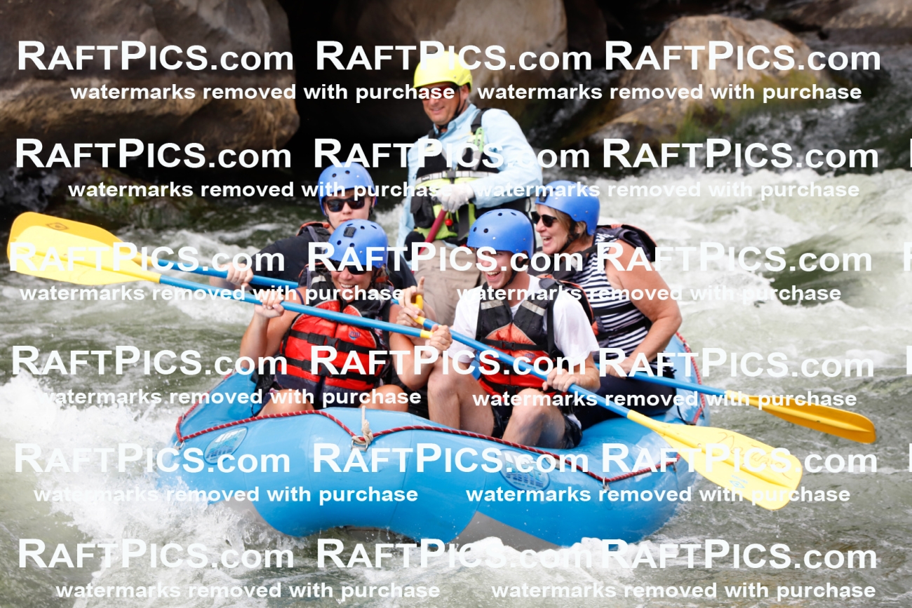 023450_RaftPics_August_02_NewWave_Racecourse_PM_Joey_TC_