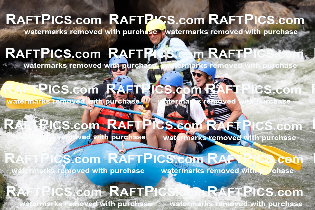 023451_RaftPics_August_02_NewWave_Racecourse_PM_Joey_TC_