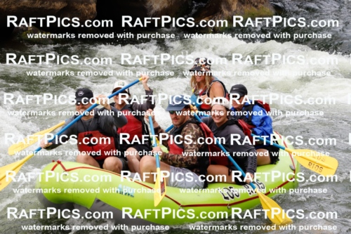 024348_RaftPics_August_03_LosRios_Racecourse_PM_Leslie_TC_