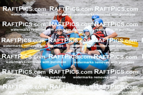 024793_RaftPics_August_03_NewWave_Racecourse_PM_Britt_TC_