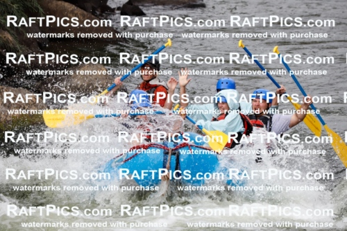 024797_RaftPics_August_03_NewWave_Racecourse_PM_Britt_TC_