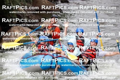 024801_RaftPics_August_03_NewWave_Racecourse_PM_Britt_TC_