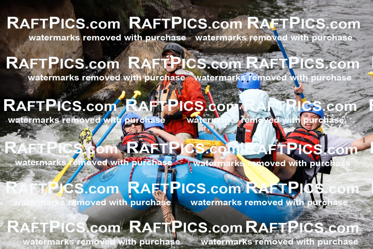 024805_RaftPics_August_03_NewWave_Racecourse_PM_Britt_TC_