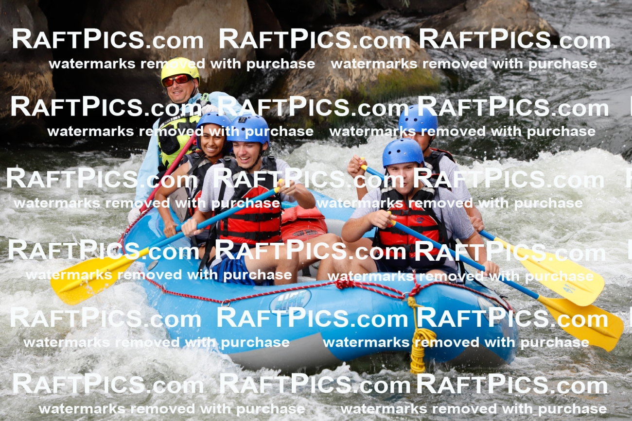 024939_RaftPics_August_03_NewWave_Racecourse_PM_Joey_TC_