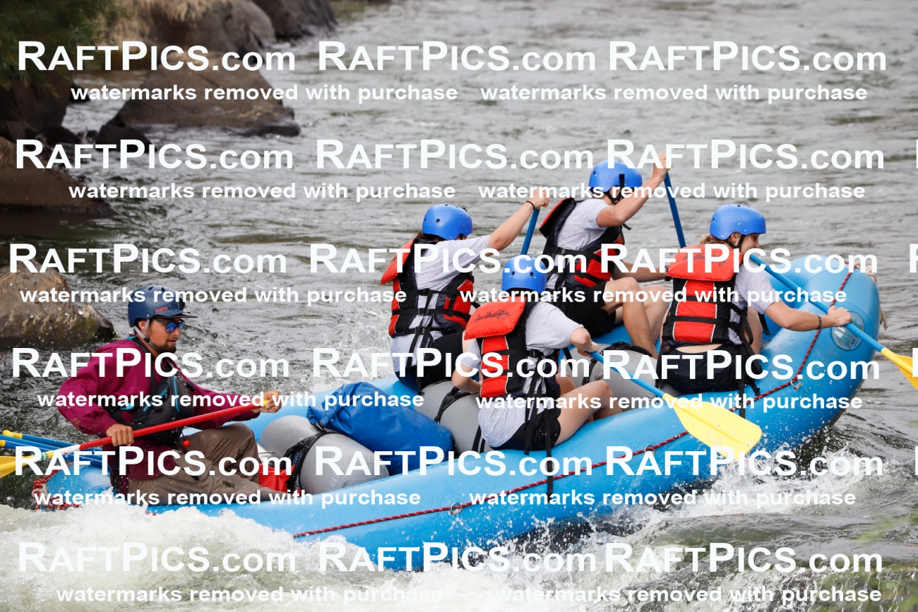 024990_RaftPics_August_03_NewWave_Racecourse_PM_Rui_TC_