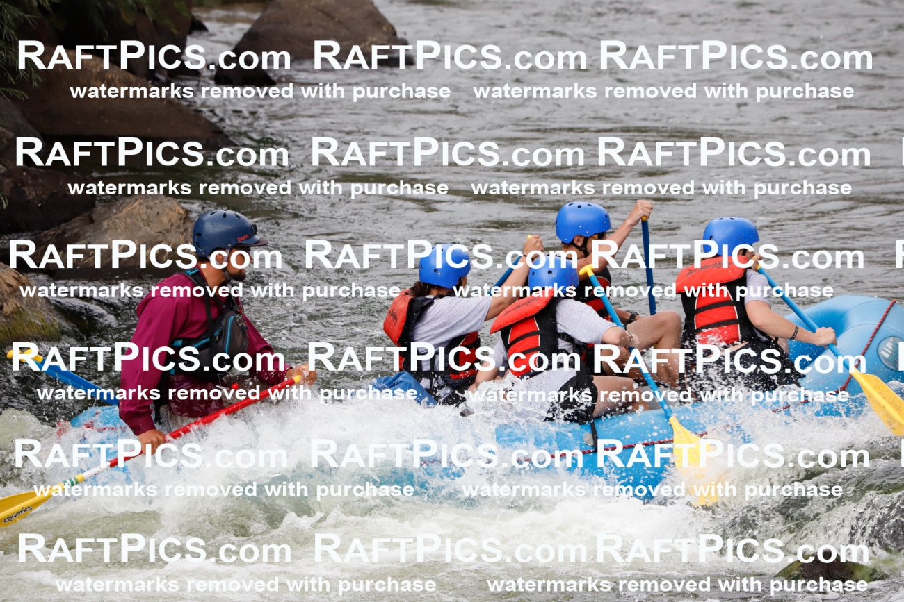 024991_RaftPics_August_03_NewWave_Racecourse_PM_Rui_TC_