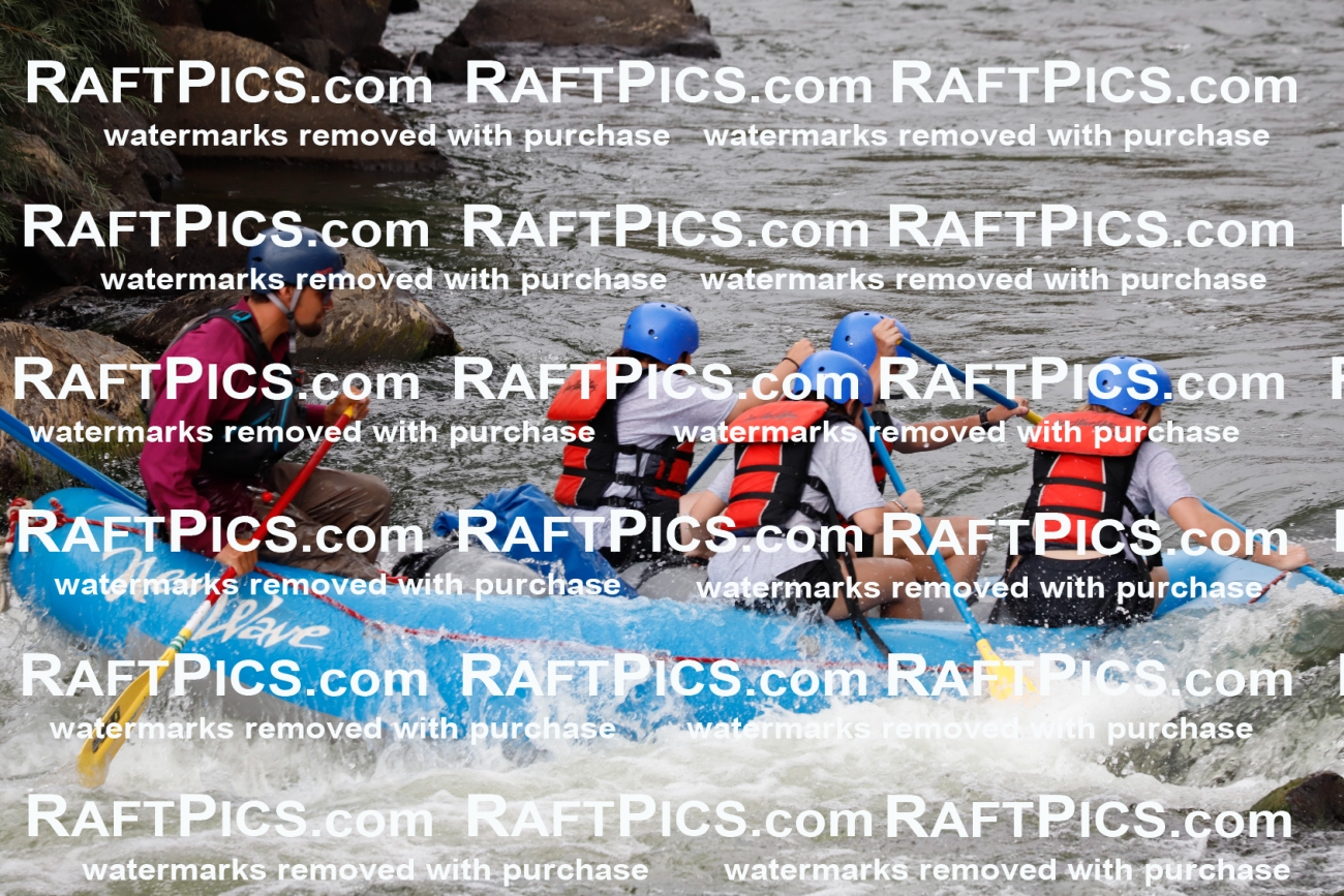 024992_RaftPics_August_03_NewWave_Racecourse_PM_Rui_TC_