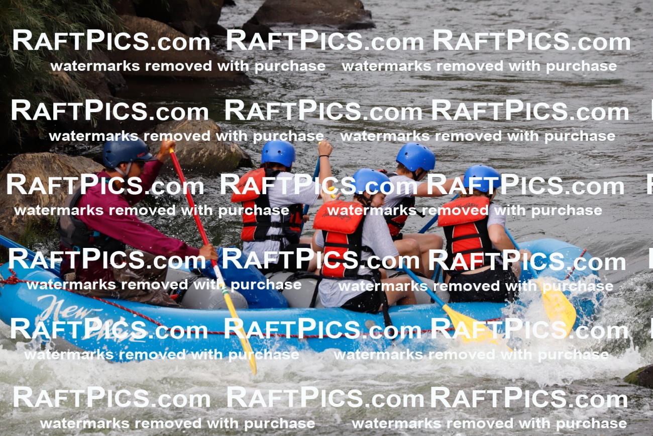 024993_RaftPics_August_03_NewWave_Racecourse_PM_Rui_TC_