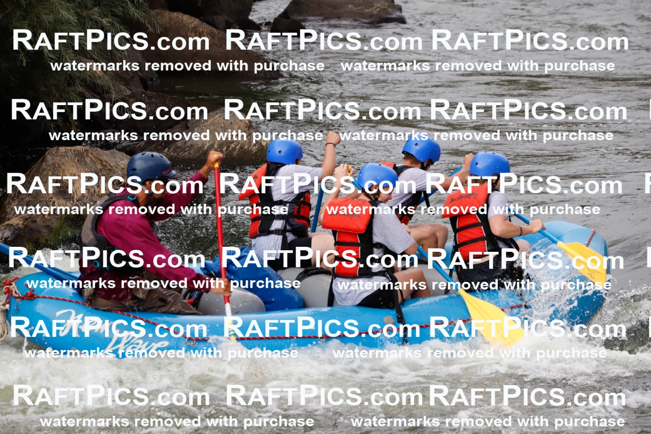 024994_RaftPics_August_03_NewWave_Racecourse_PM_Rui_TC_