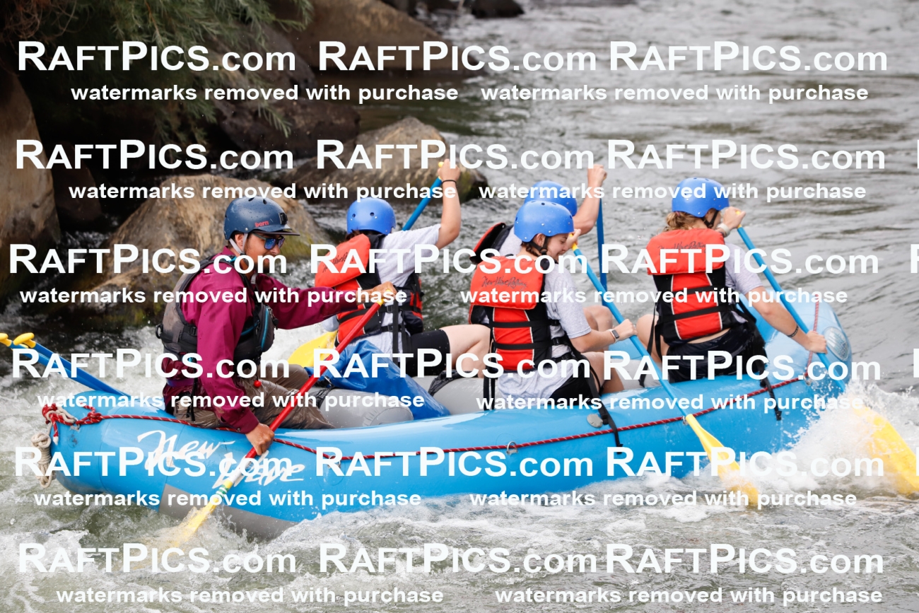 024996_RaftPics_August_03_NewWave_Racecourse_PM_Rui_TC_