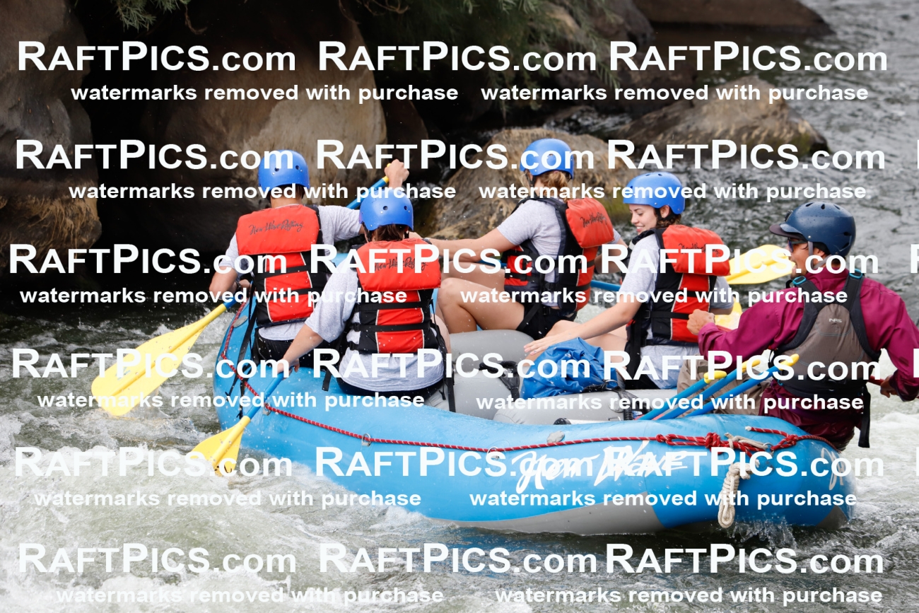 024999_RaftPics_August_03_NewWave_Racecourse_PM_Rui_TC_