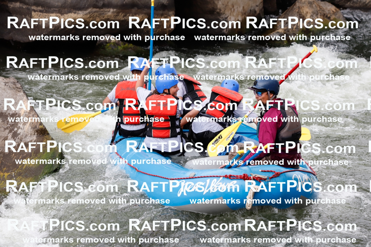 025002_RaftPics_August_03_NewWave_Racecourse_PM_Rui_TC_