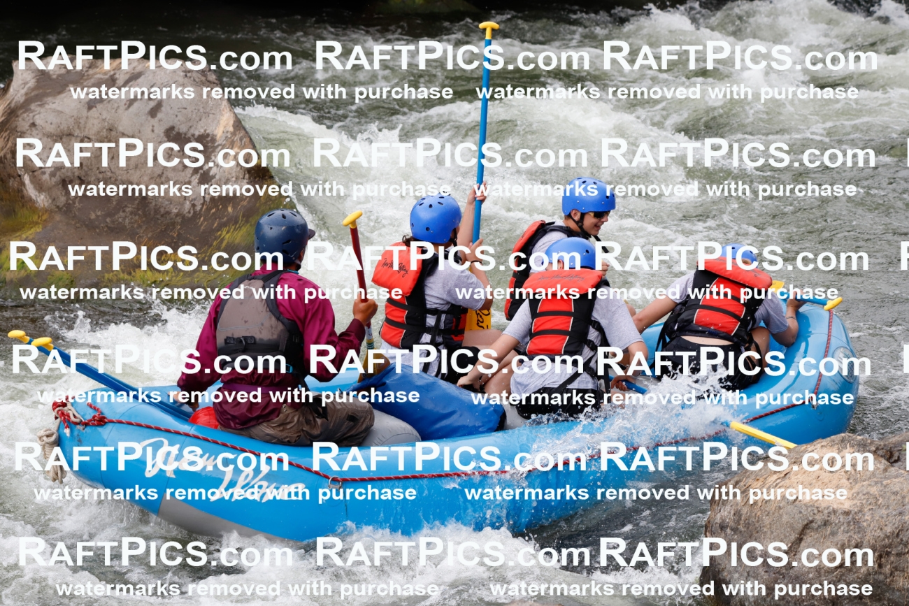 025004_RaftPics_August_03_NewWave_Racecourse_PM_Rui_TC_