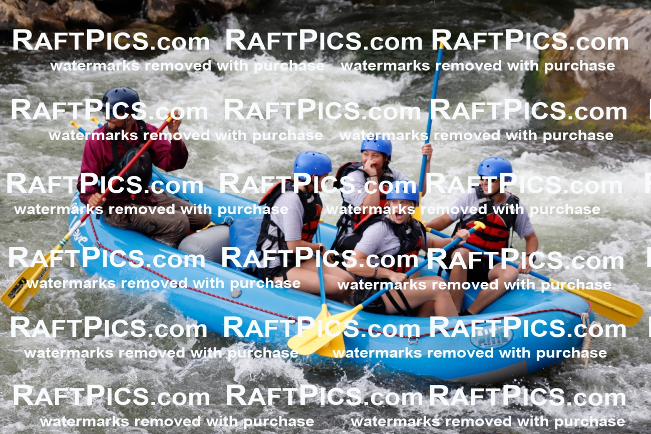 025005_RaftPics_August_03_NewWave_Racecourse_PM_Rui_TC_