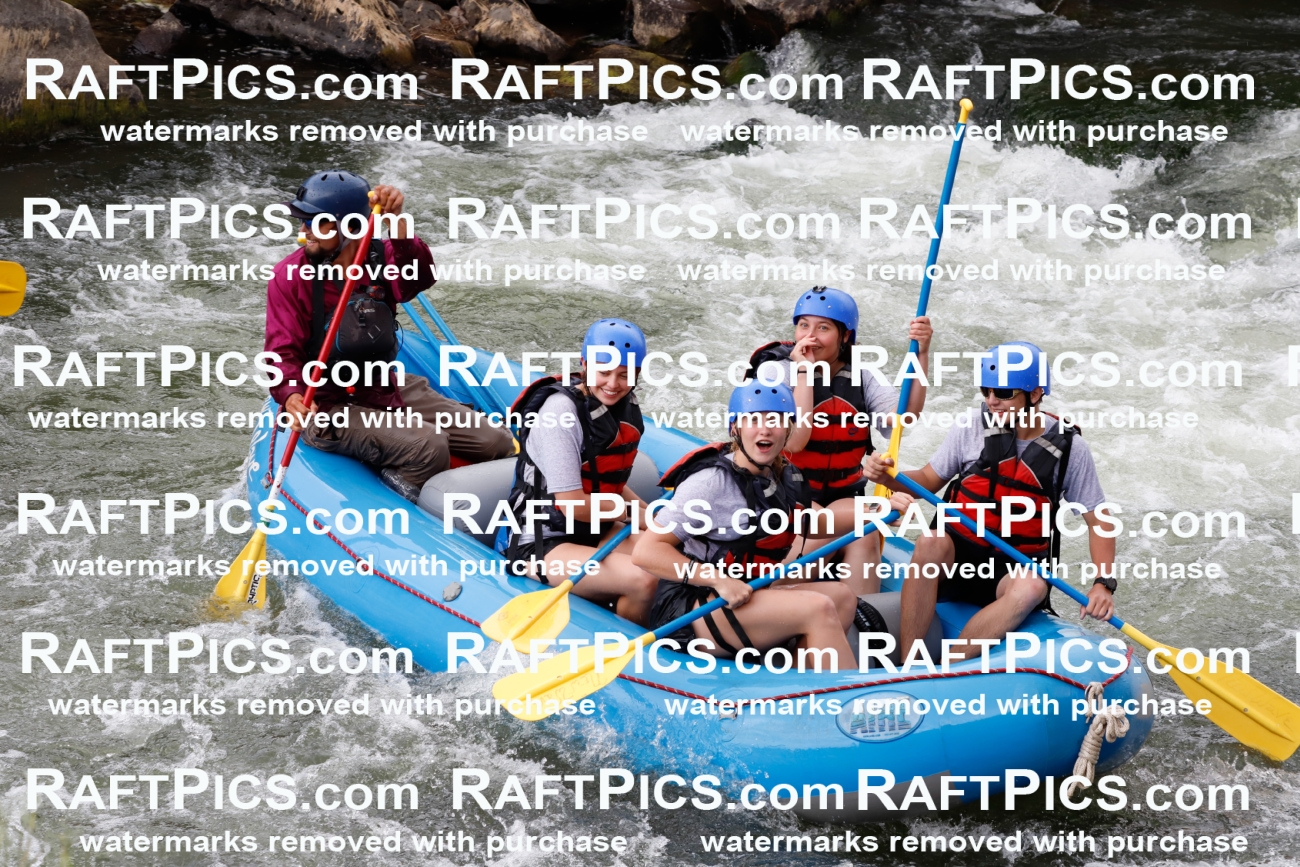 025006_RaftPics_August_03_NewWave_Racecourse_PM_Rui_TC_