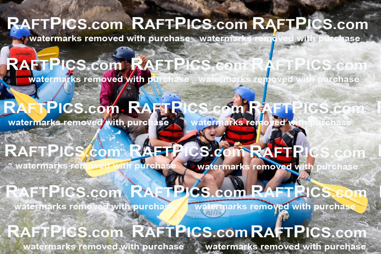 025008_RaftPics_August_03_NewWave_Racecourse_PM_Rui_TC_