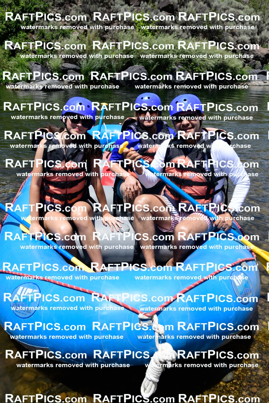 025493_RaftPics_August_04_NewWave_Racecourse_PM_Rui_KA_