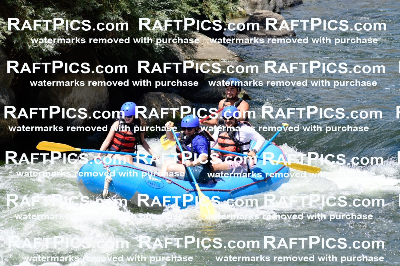 025508_RaftPics_August_04_NewWave_Racecourse_PM_Rui_KA_