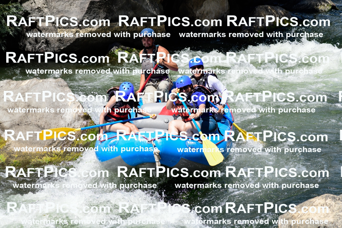 025515_RaftPics_August_04_NewWave_Racecourse_PM_Rui_KA_