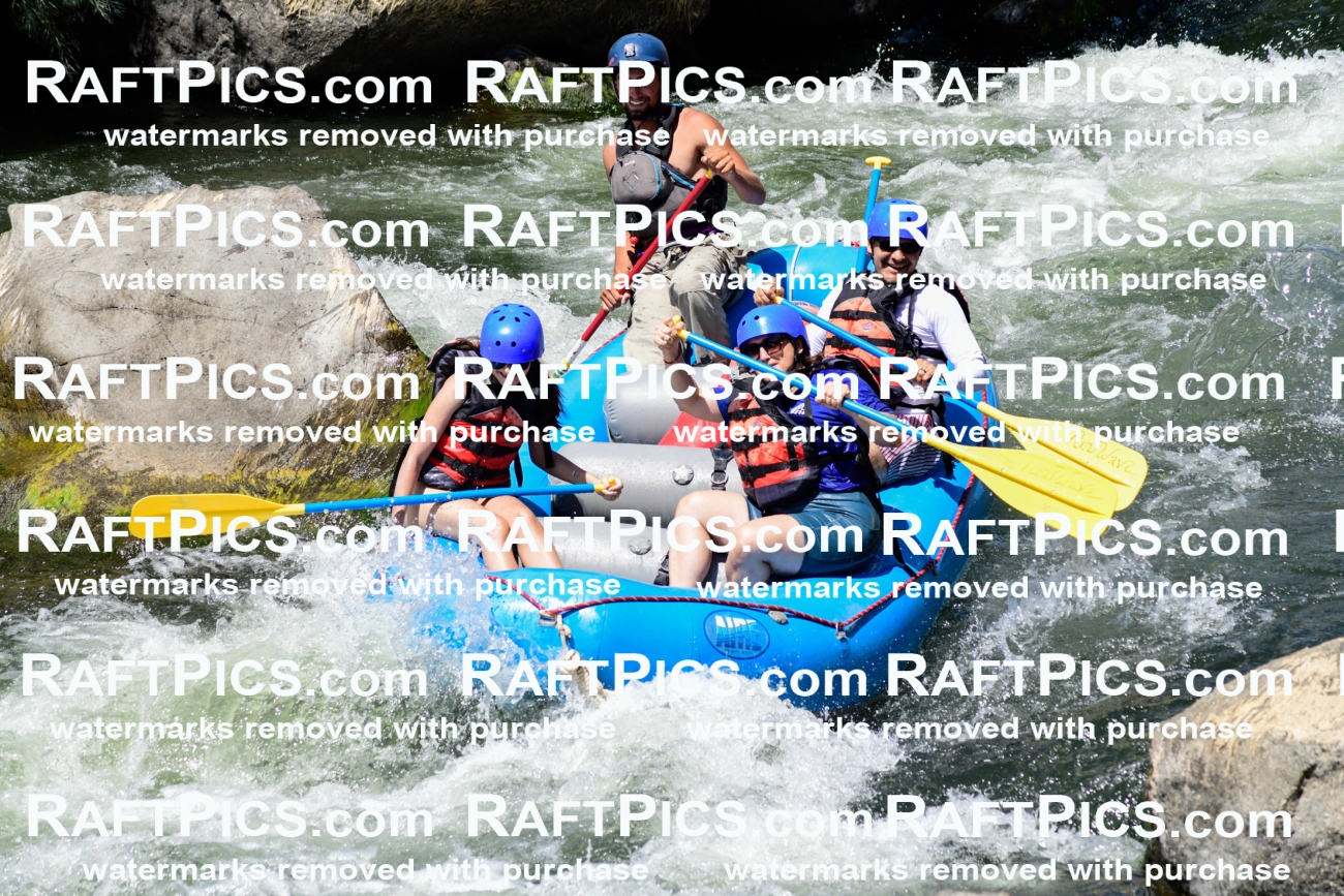 025518_RaftPics_August_04_NewWave_Racecourse_PM_Rui_KA_