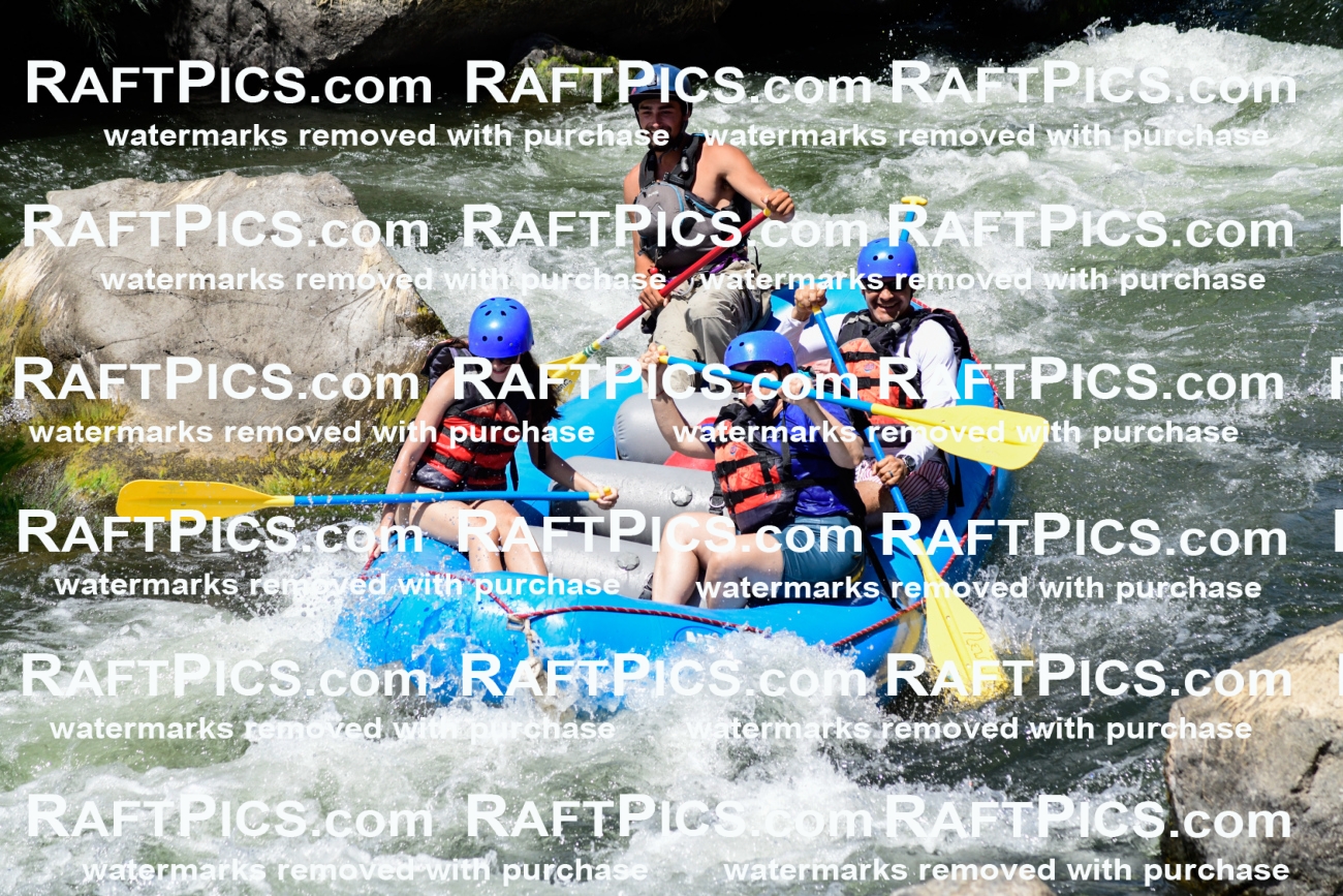 025519_RaftPics_August_04_NewWave_Racecourse_PM_Rui_KA_