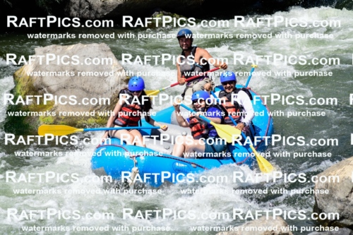 025520_RaftPics_August_04_NewWave_Racecourse_PM_Rui_KA_