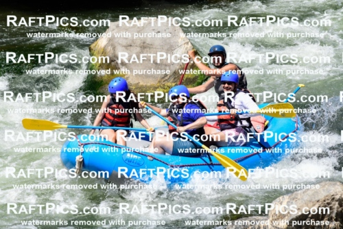 025524_RaftPics_August_04_NewWave_Racecourse_PM_Rui_KA_