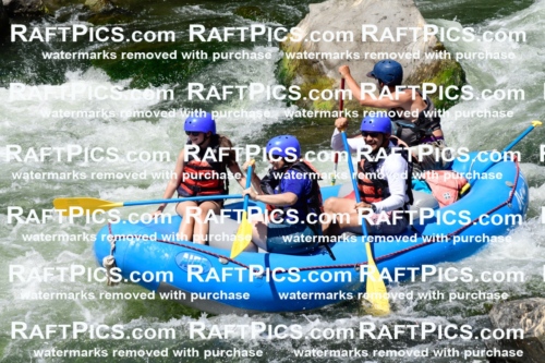 025527_RaftPics_August_04_NewWave_Racecourse_PM_Rui_KA_