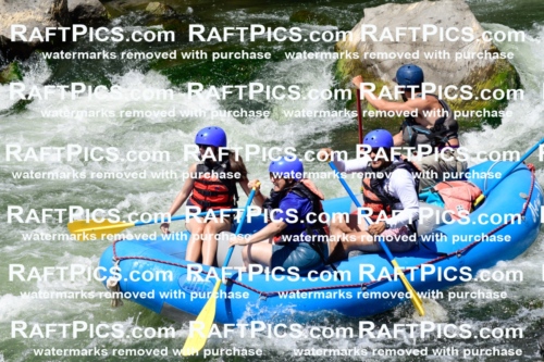 025528_RaftPics_August_04_NewWave_Racecourse_PM_Rui_KA_