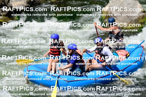 025529_RaftPics_August_04_NewWave_Racecourse_PM_Rui_KA_